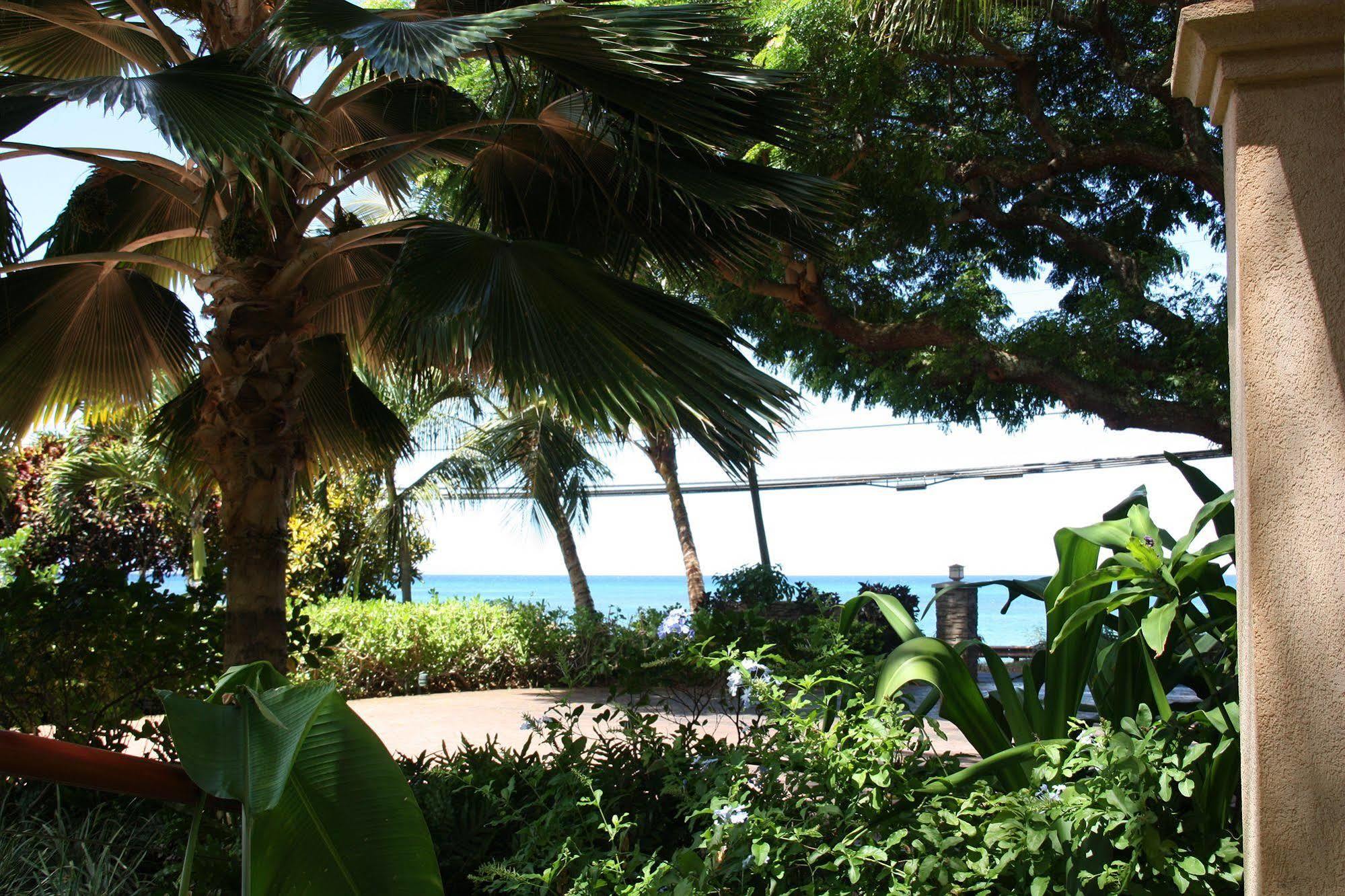 Maui Beach House B & B Kahana Dış mekan fotoğraf