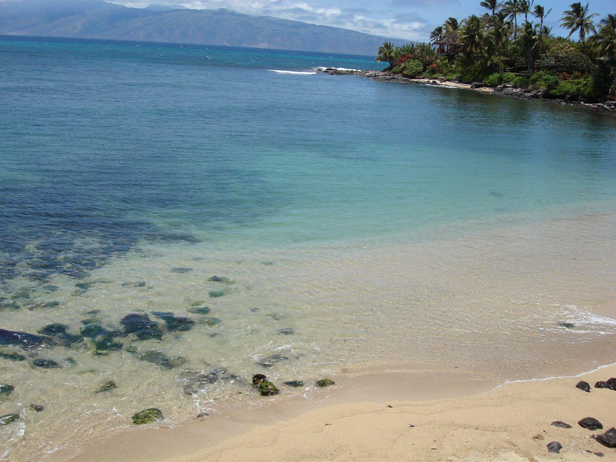 Maui Beach House B & B Kahana Dış mekan fotoğraf