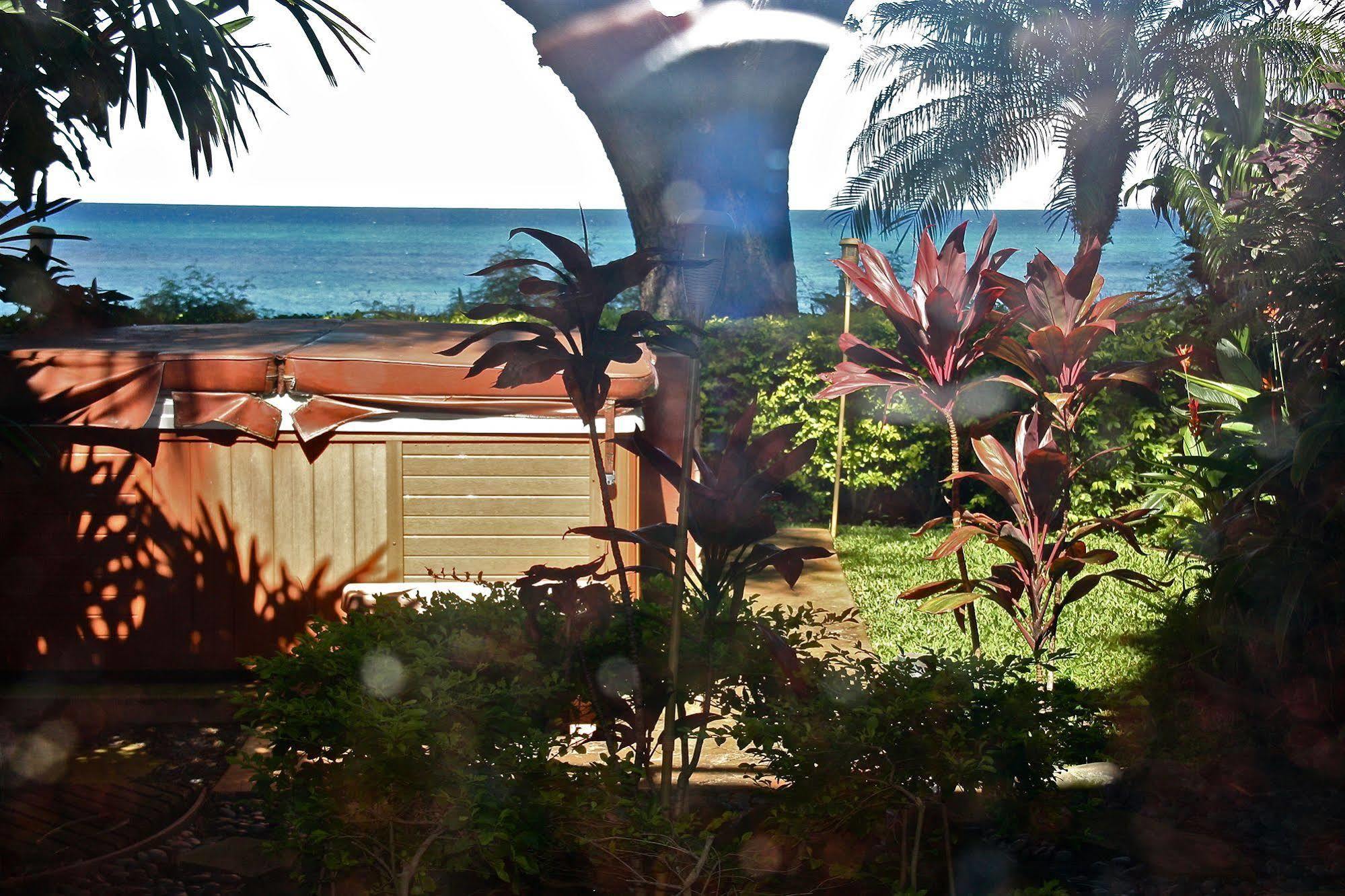 Maui Beach House B & B Kahana Dış mekan fotoğraf